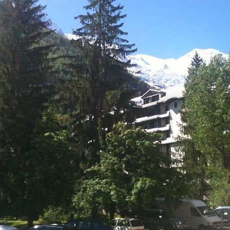 Appartement Chamonix - Vue Mont Blanc ภายนอก รูปภาพ