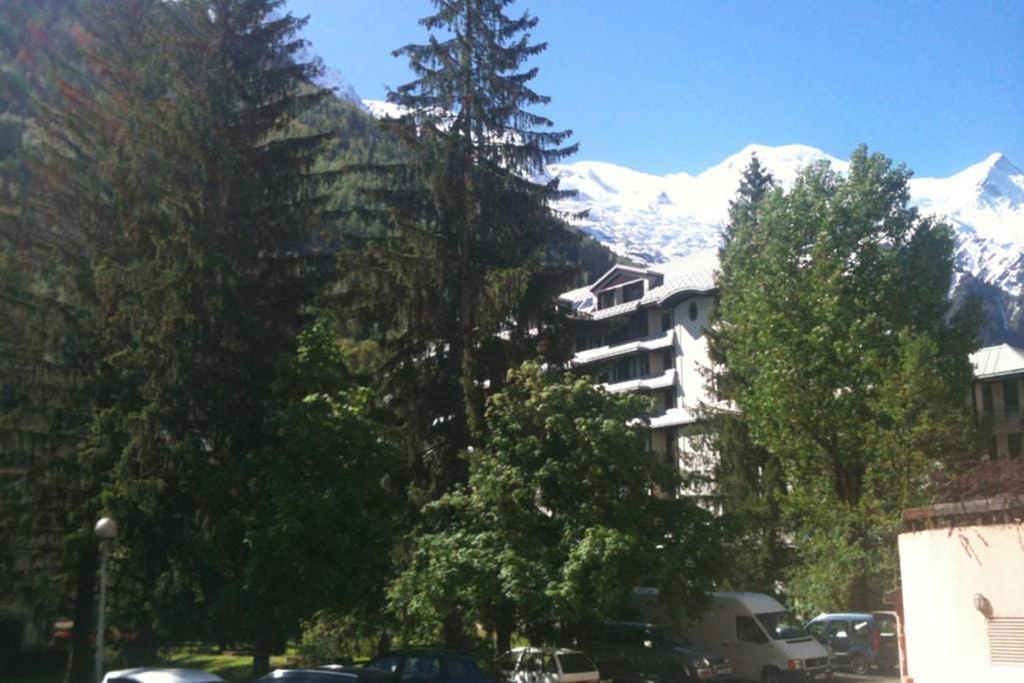 Appartement Chamonix - Vue Mont Blanc ภายนอก รูปภาพ